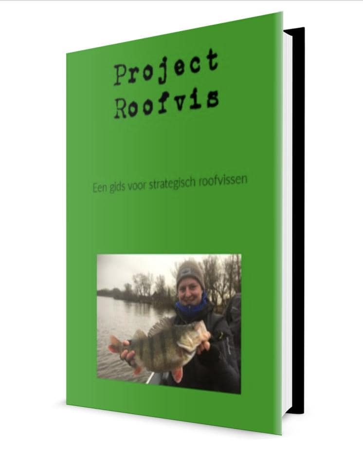 Project Roofvis